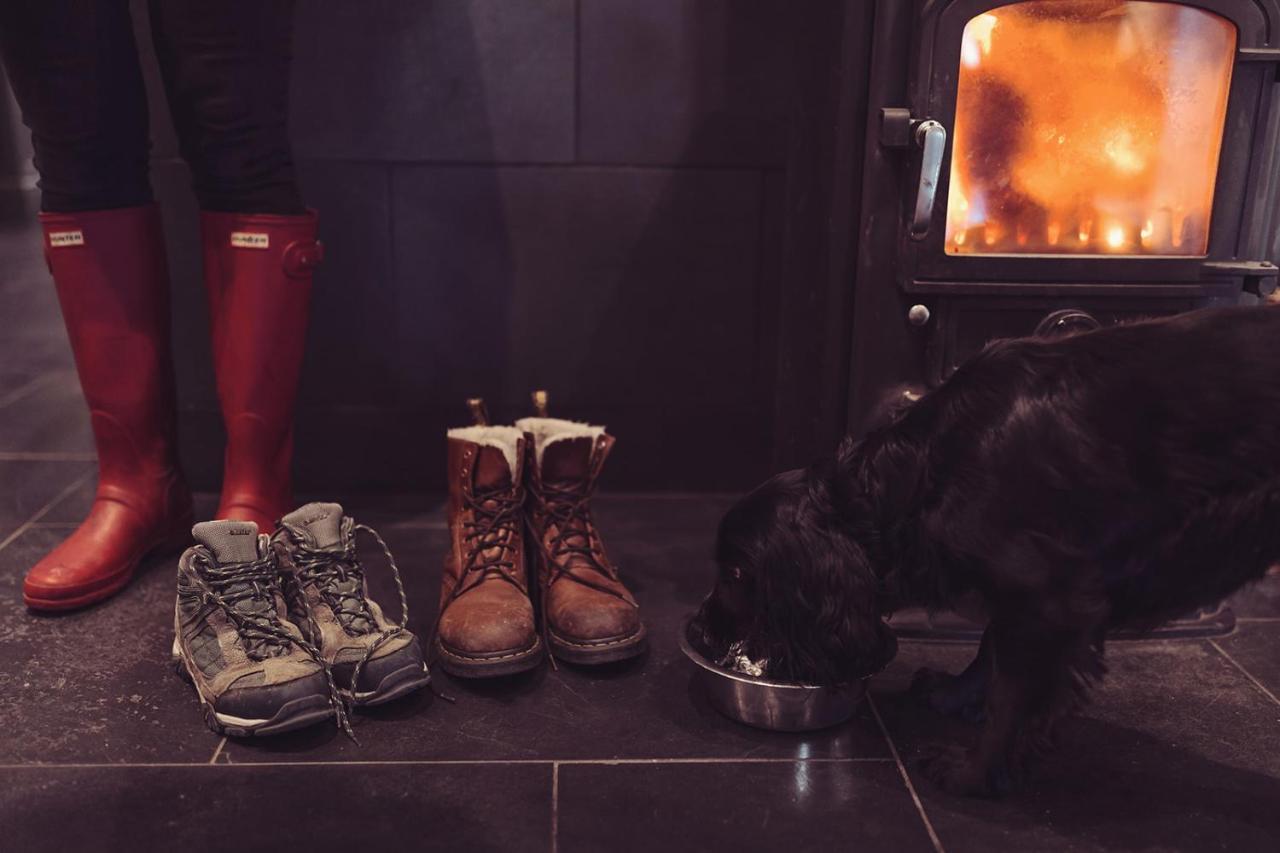 Longlands Inn & Cottages Carnforth Esterno foto A dog in front of a wood burning stove